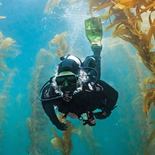 Potapljaška maska Scubapro Frameless